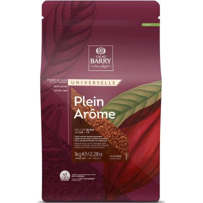 Какао на прах - Cacao Barry Plein Arôme - 1кг